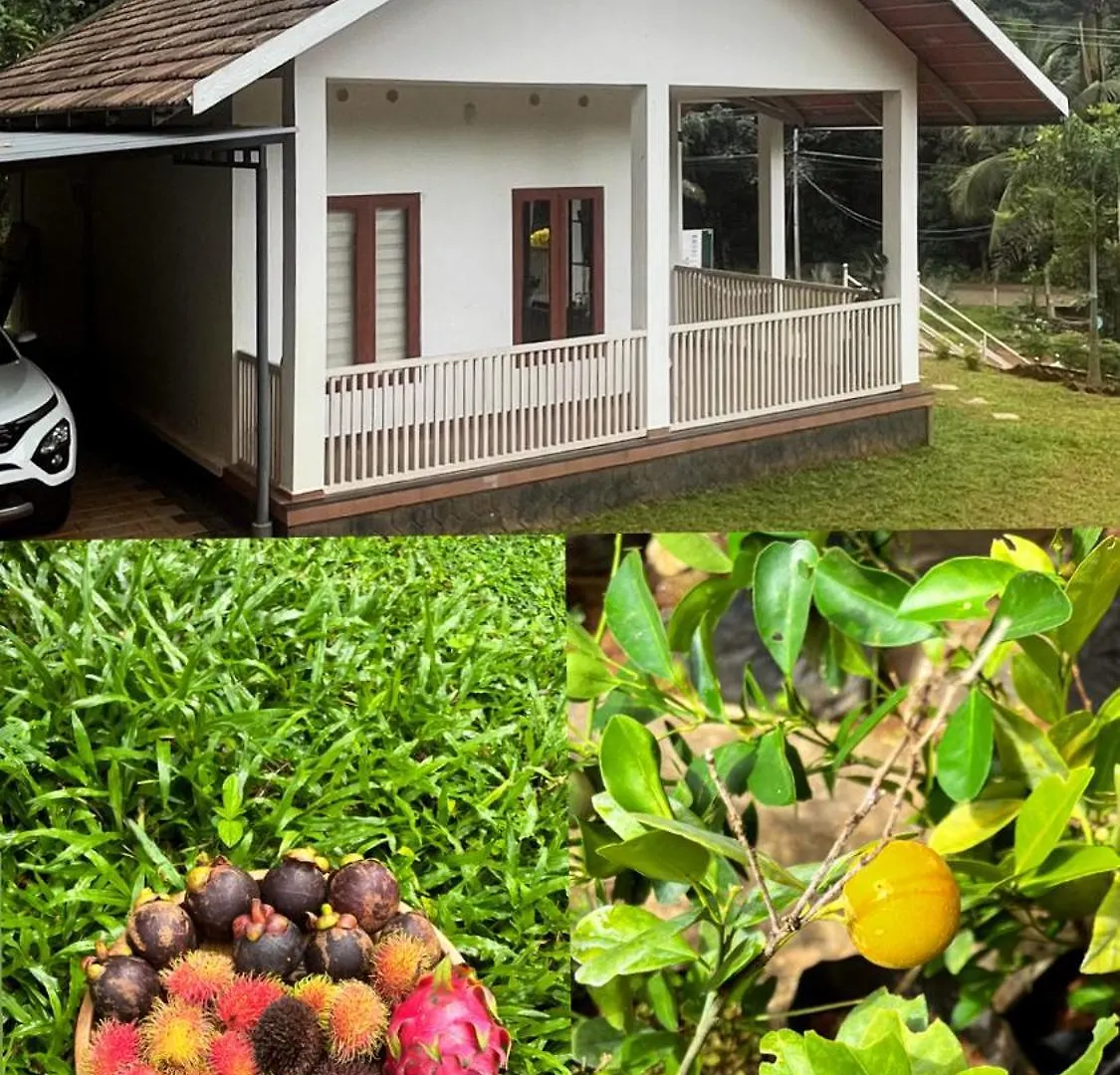 “Green Thumb Farm Stay” Mundakāyam بيت للعطل